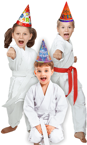 Martial Arts Birthday Party for Kids in Austin TX - Birthday Punches Page Banner